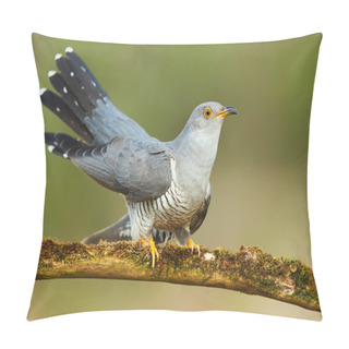 Personality  Common Cuckoo (Cuculus Canorus) Pillow Covers