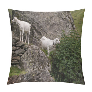 Personality  Goats On Green Pasture Pillow Covers