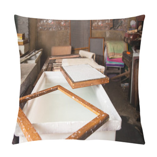 Personality  Mold Over Pulp And Water Mixture In Factory Pillow Covers