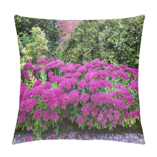 Personality  Garden With Purple Sedum Flowers. Pillow Covers