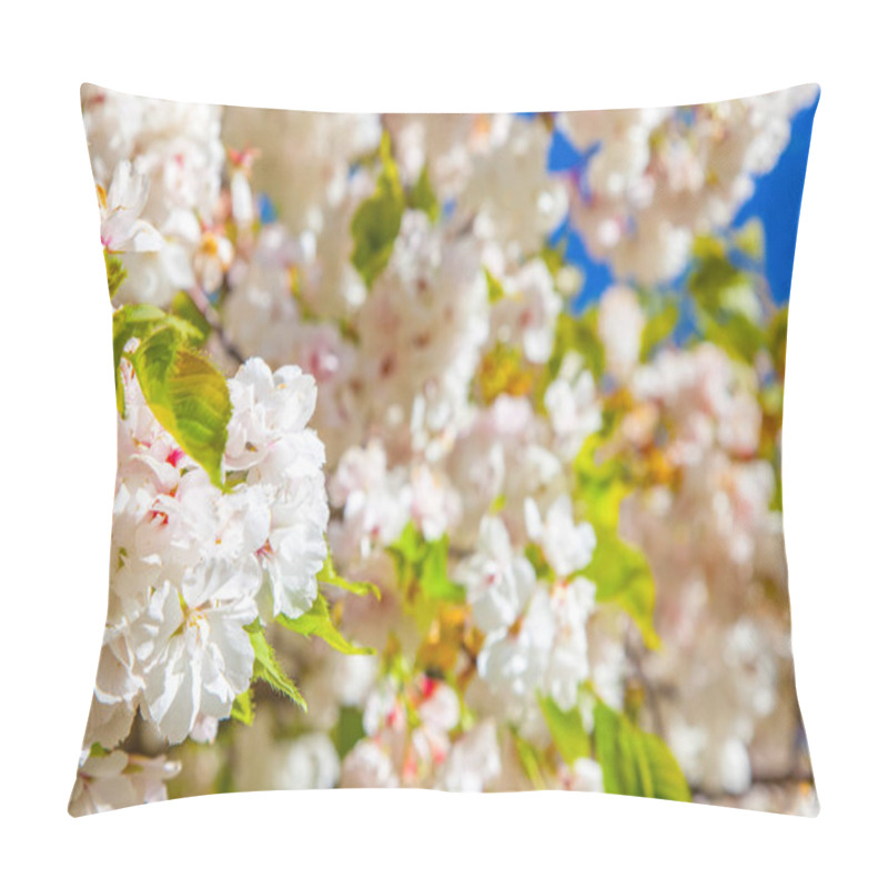 Personality  close up view of cheery tree blooming flowers background pillow covers