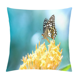 Personality  Monarch Butterfly Parked On The Flower Stalk In The Sunny Morning In The Garden Pillow Covers