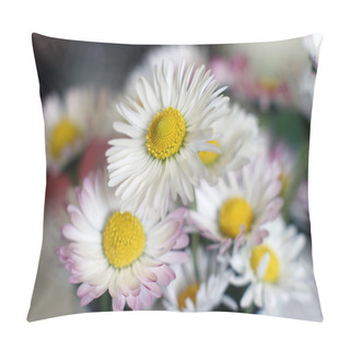 Personality  Cammomile Pillow Covers