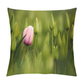 Personality  Pink Tulip Blooming Pillow Covers