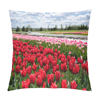 Personality  Selective Focus Of Colorful Tulips Field With Blue Sky And Clouds Pillow Covers