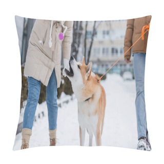 Personality  Cropped View Of Man Holding Leash While Walking Near Girlfriend Playing With Akita Inu Dog Pillow Covers
