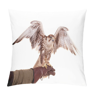 Personality  Saker Falcon Isolated On White Pillow Covers