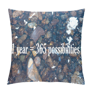 Personality  What Is The Meaning Of Life Pillow Covers