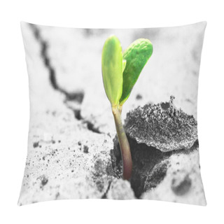 Personality  New Life Pillow Covers