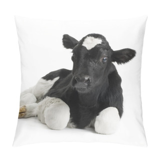 Personality  Calf Pillow Covers