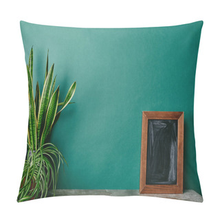 Personality  Plants In Flowerpots And Empty Photo Frame On Dusty Table  Green Background Pillow Covers