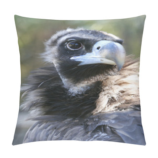 Personality  Head Of Vulture Pillow Covers