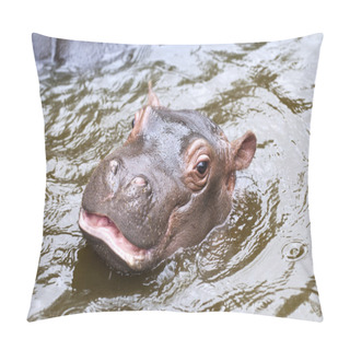 Personality  A Baby Hippo Pillow Covers