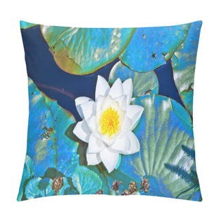 Personality  White Lotus Water Lily In Lake Pillow Covers