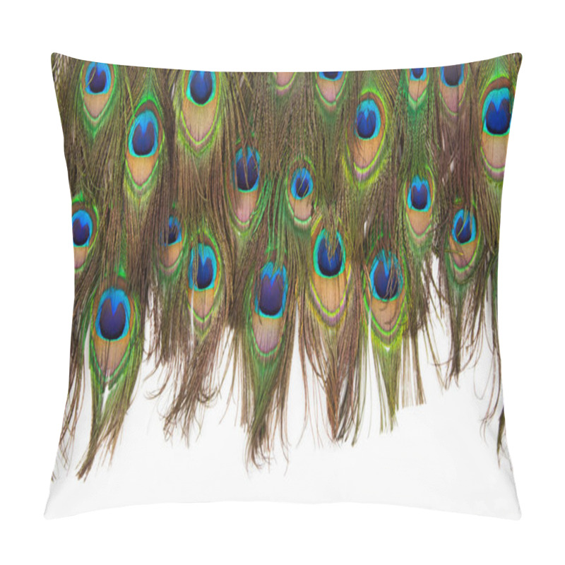 Personality  colorful peacock feathers isolated pillow covers