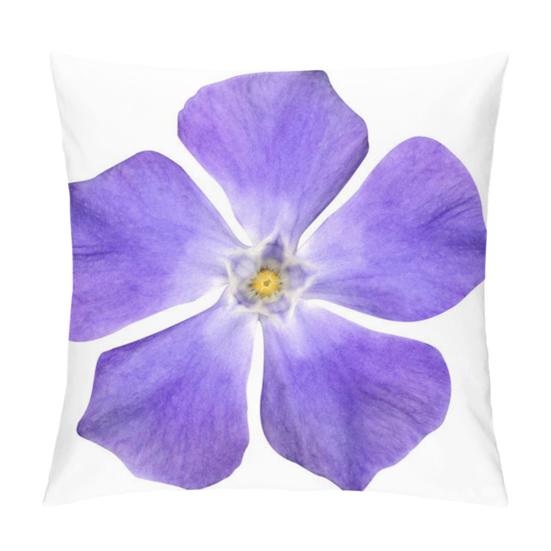 Personality  Purple Flower - Periwinkle - Vinca minor - isolated on White pillow covers