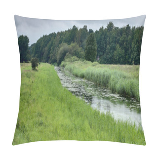 Personality  Extensively Used Meadows Beneath The Stream Ryck Near Heilgeisthof, Mecklenburg-Vorpommern, Germany Pillow Covers