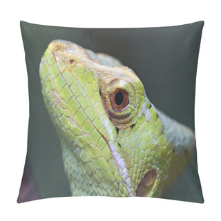 Personality  Closeup Of A Basilisk Pillow Covers