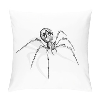 Personality  Spider On A White Background Pillow Covers