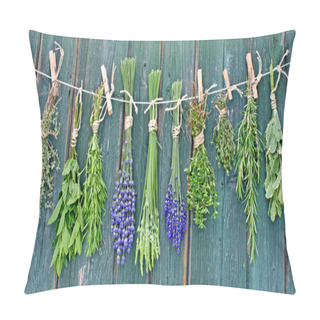 Personality  Herbs On Line Pillow Covers