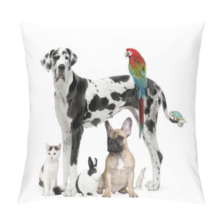 Personality  Group Of Pets - Dog,cat, Bird, Reptile, Rabbit Pillow Covers