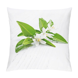Personality  Neroli (Citrus Aurantium) Blossoms  Flowers  Pillow Covers