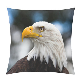 Personality  Eagle Close-up Pillow Covers