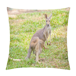 Personality  Wallaby With A Joey In The Pouch Pillow Covers