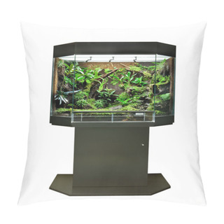 Personality  Terrarium For Tropical Rainforest Pets Pillow Covers