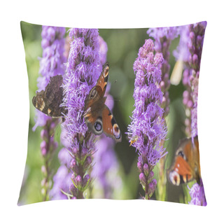 Personality  Agglais Io Butterfly On Liatris Spicata Purple Flower In Bloom, Ornamental Flowering Plant In Summer Garden Pillow Covers