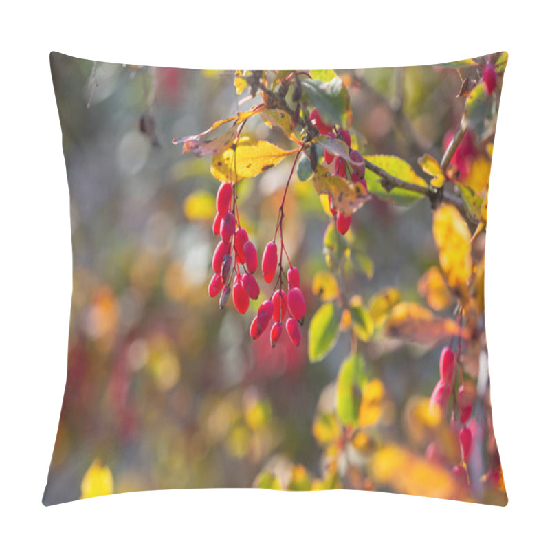 Personality  Ripe Barberry Berries On Bush Branches In Autumn Pillow Covers