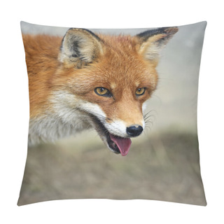 Personality  Fox Portrait In Natural Habitat Pillow Covers