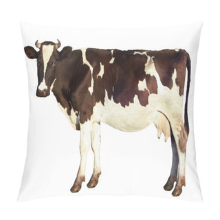 Personality  Dairy Cow Isolated Pillow Covers
