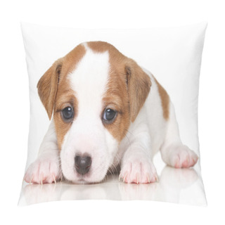 Personality  Close-up Of Jack Russell Terrier Puppy Pillow Covers