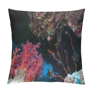 Personality  Coral Crevice With Sea Life Pillow Covers