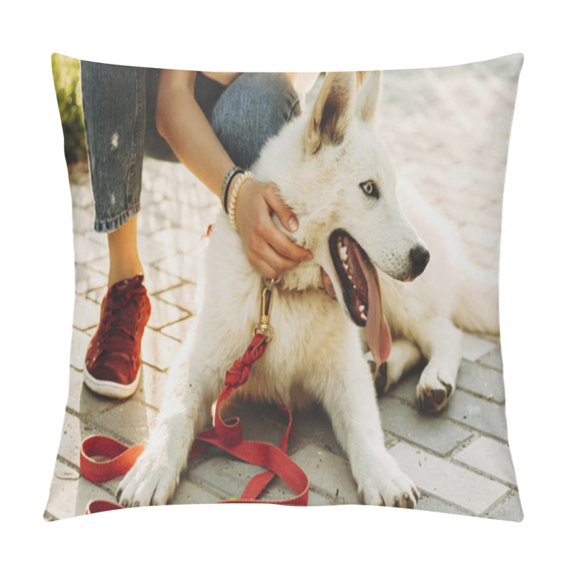 Personality  Beautiful white siberian husky sitting in the park with his owner showing tongue and looking away. pillow covers