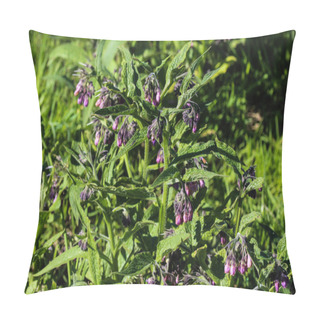 Personality  Wild Common Comfrey Or True Comfrey (Symphytum Officinale) Flower During Spring Pillow Covers