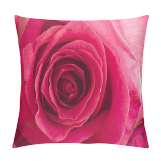 Personality  Close Up Of Inside Of Pink Rose Pillow Covers