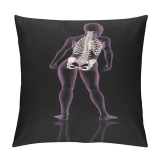 Personality  Female Medical Skeleton Showing Spine And Hip Bone Pillow Covers