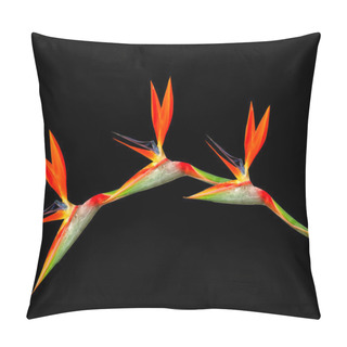Personality  Bird Of Paradise Flowers Arching Pillow Covers