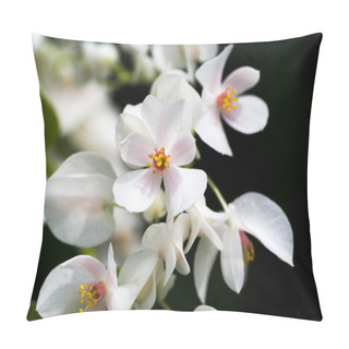 Personality  White Confederate Vine Flower. (Antigonon Leptopus Hook.) Pillow Covers