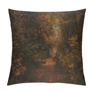 Personality  Autumn Landscape, Cloudy Rainy Foggy Day   Pillow Covers