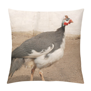 Personality  Female Partridges Pillow Covers