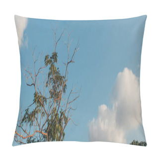Personality  Tree With Leaves And Dry Branches Outdoors, Banner  Pillow Covers