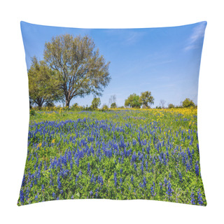 Personality  A Wide Angle View Of A Beautiful Field Blanketed With The Famous Texas Bluebonnets. Pillow Covers
