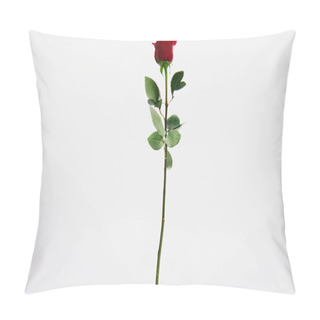 Personality  Beautiful Blooming Red Rose Flower Isolated On White  Pillow Covers