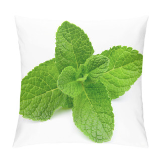 Personality  Fresh Mint Pillow Covers