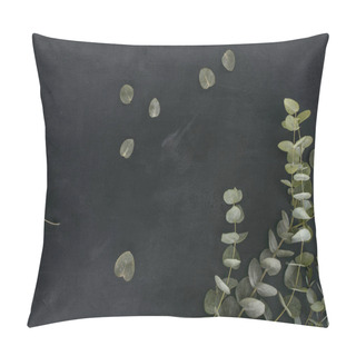 Personality  Green Eucalyptus Leaves And Branches Over Black Background Pillow Covers