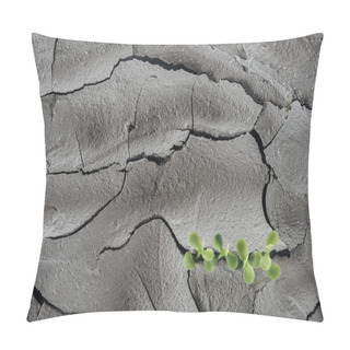 Personality  Young Green Plants On Dry Cracked Surface, Global Warming Concept Pillow Covers