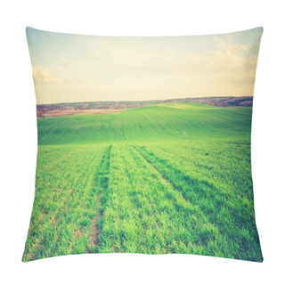 Personality  Vintage Photo Of Young Green Cereal Field Pillow Covers